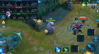 最新技能爆料视频下载,视频下载新玩法大揭秘！