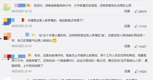 印尼论坛爆料事件视频,视频揭露惊人真相